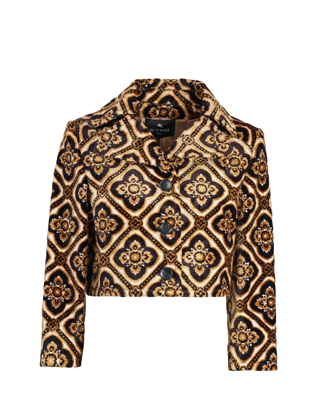 shop ETRO  Giacca: Etro giacca cropped in velluto.
Giacca cropped con maxi colletto realizzata in velluto jacquard e decorata da motivi medaglione.
Fodera jacquard a righe.
Esterno: 53% viscosa, 47% cotone
Vestibilità corta.
Maniche lunghe.
Fabbricato in Italia.. 11501 0563-0001 number 4362582